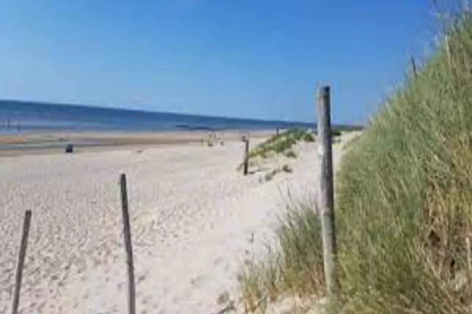 Wijde Blick 309-View summer