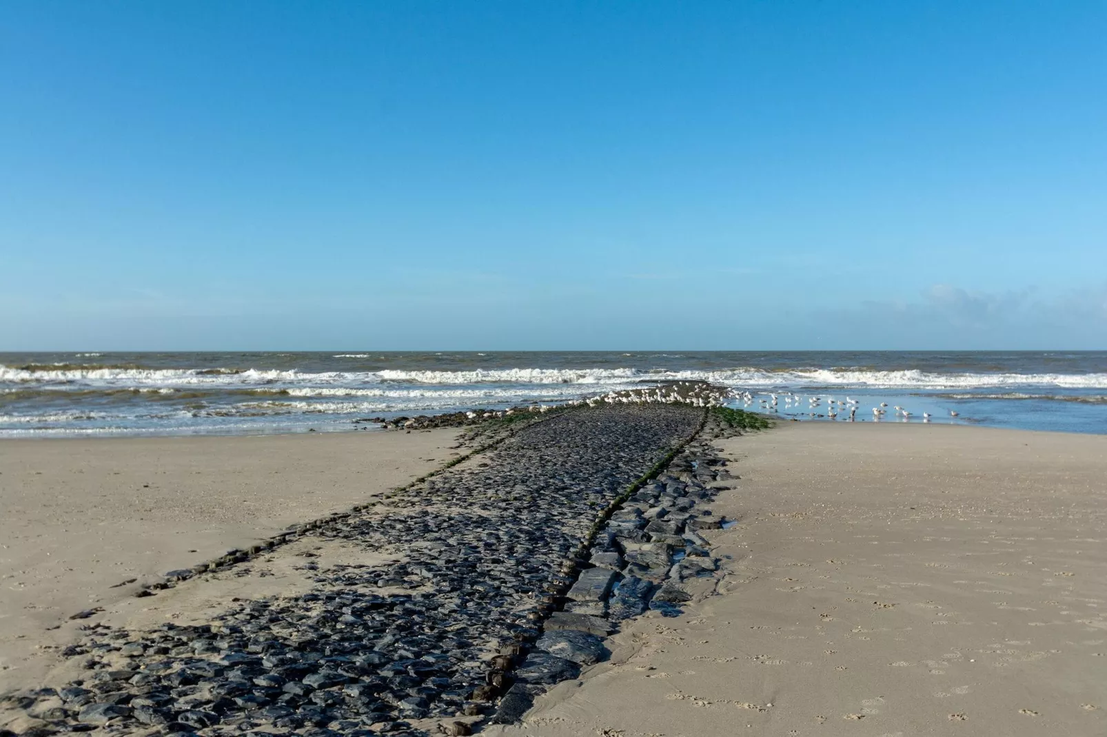 Wijde Blick 311-Areas summer 5km