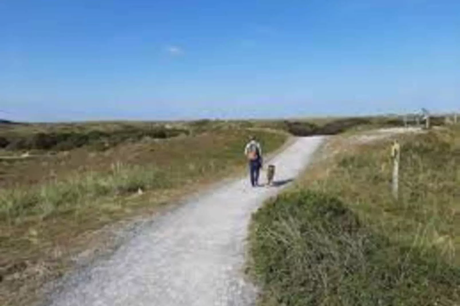 Wildrijk 76-View summer