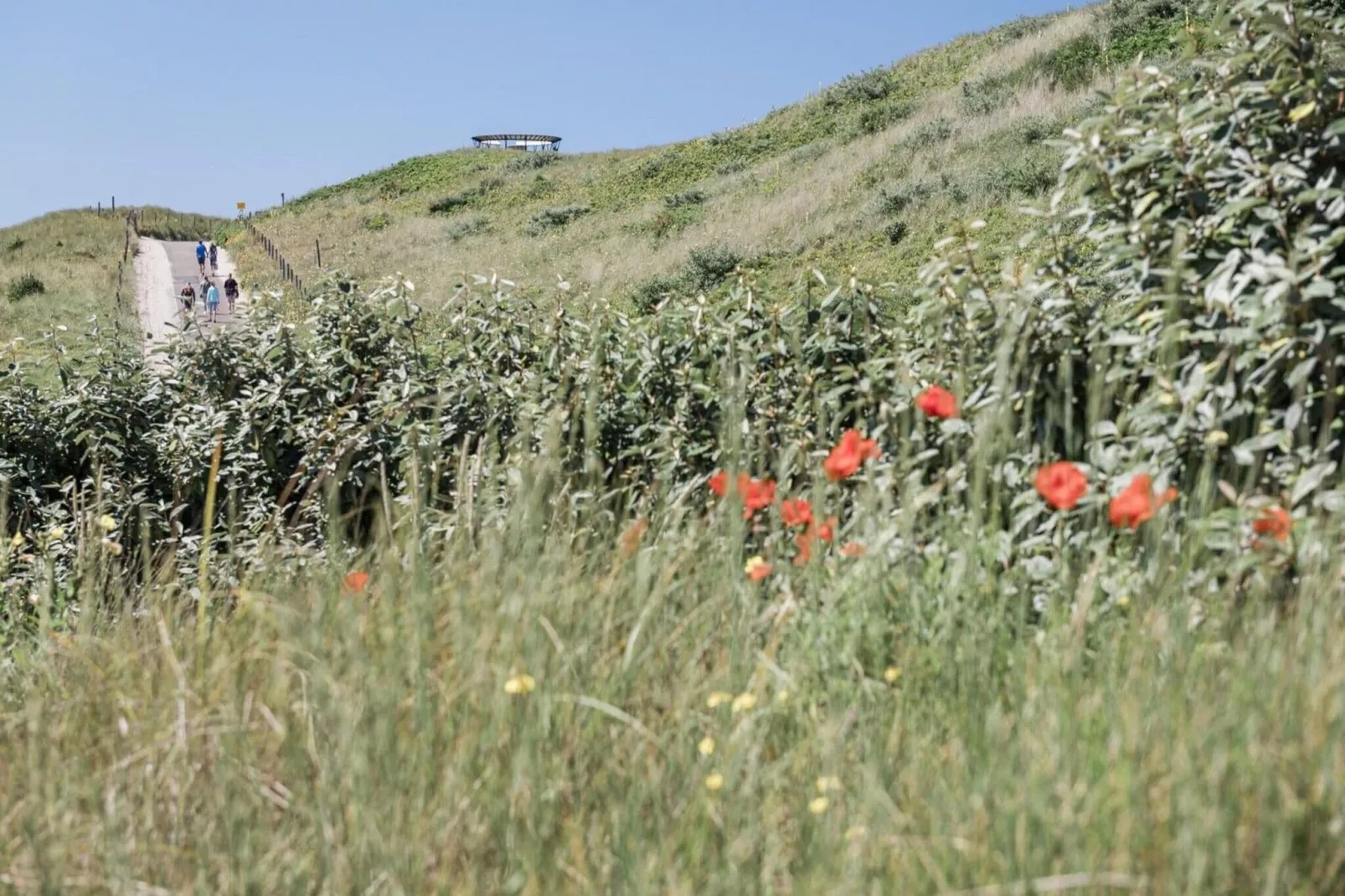 Duynsuites aan zee-Außenbereich Sommer
