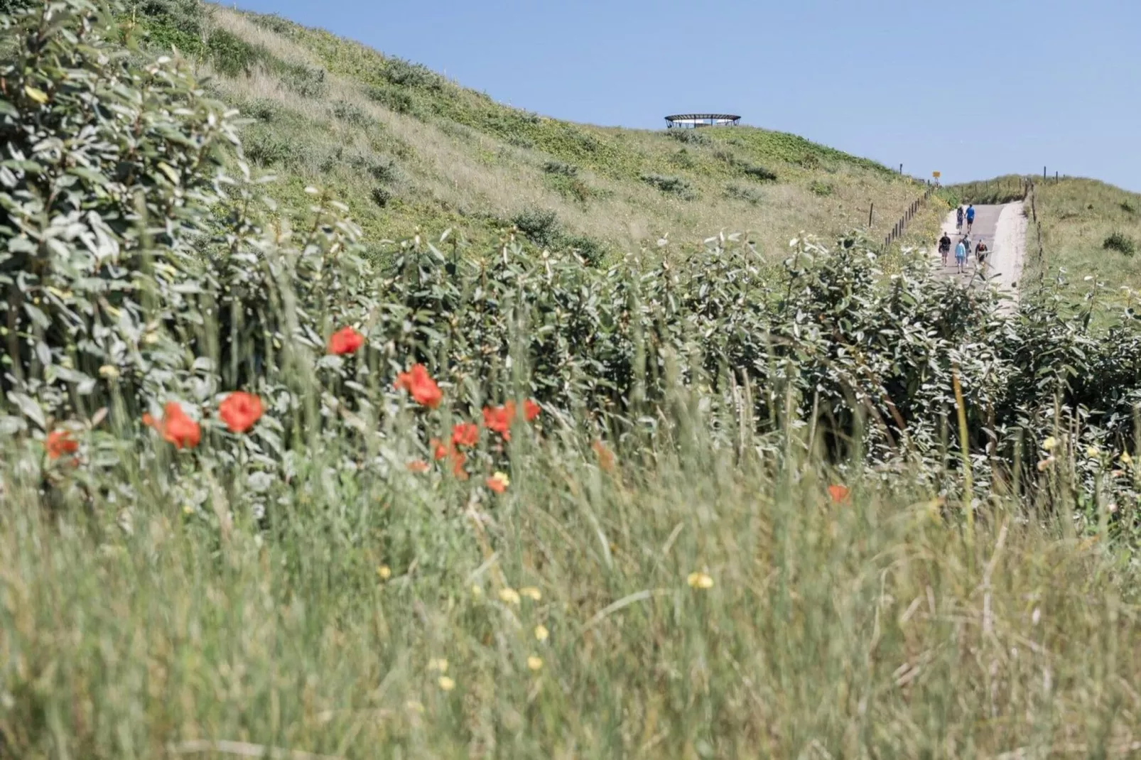 Duynsuites aan zee-Außenbereich Sommer
