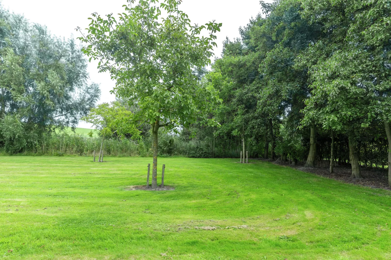 De Notenweide-Gardens summer