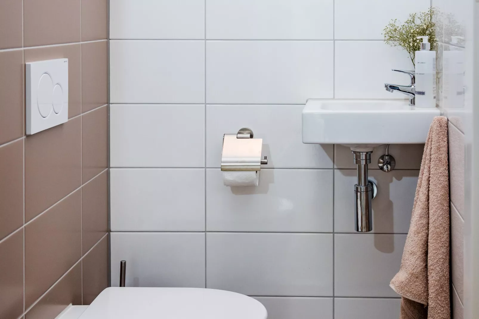 Dwergarend 17-02-Bathroom