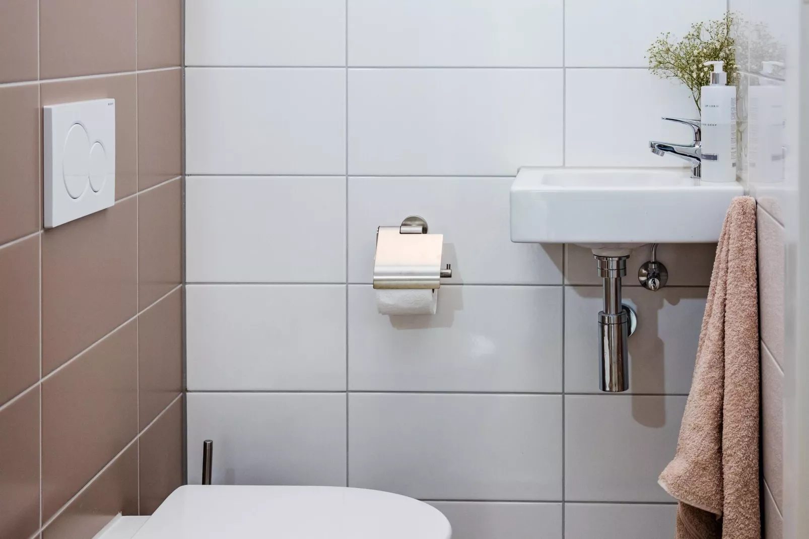 Dwergarend 17-05-Bathroom