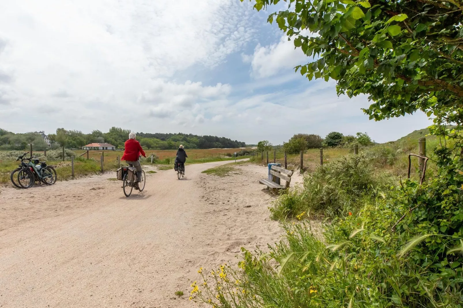 Vakantiewoning - Horizon 14  Renesse-Areas summer 5km