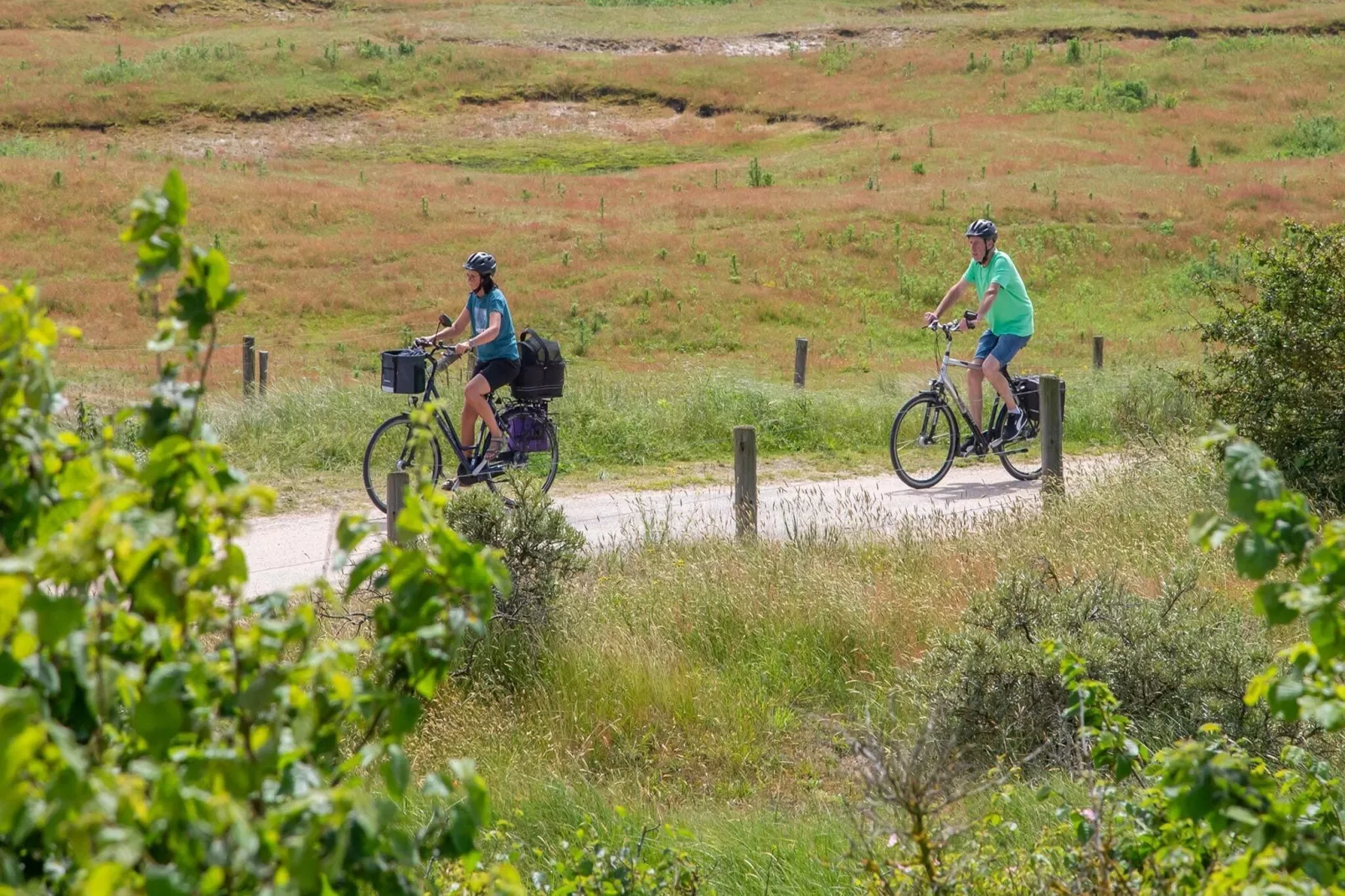 Vakantiewoning - Horizon 14  Renesse-Areas summer 5km