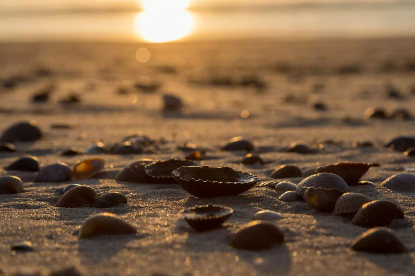Strand Dishoek 345/346-Atmosphere