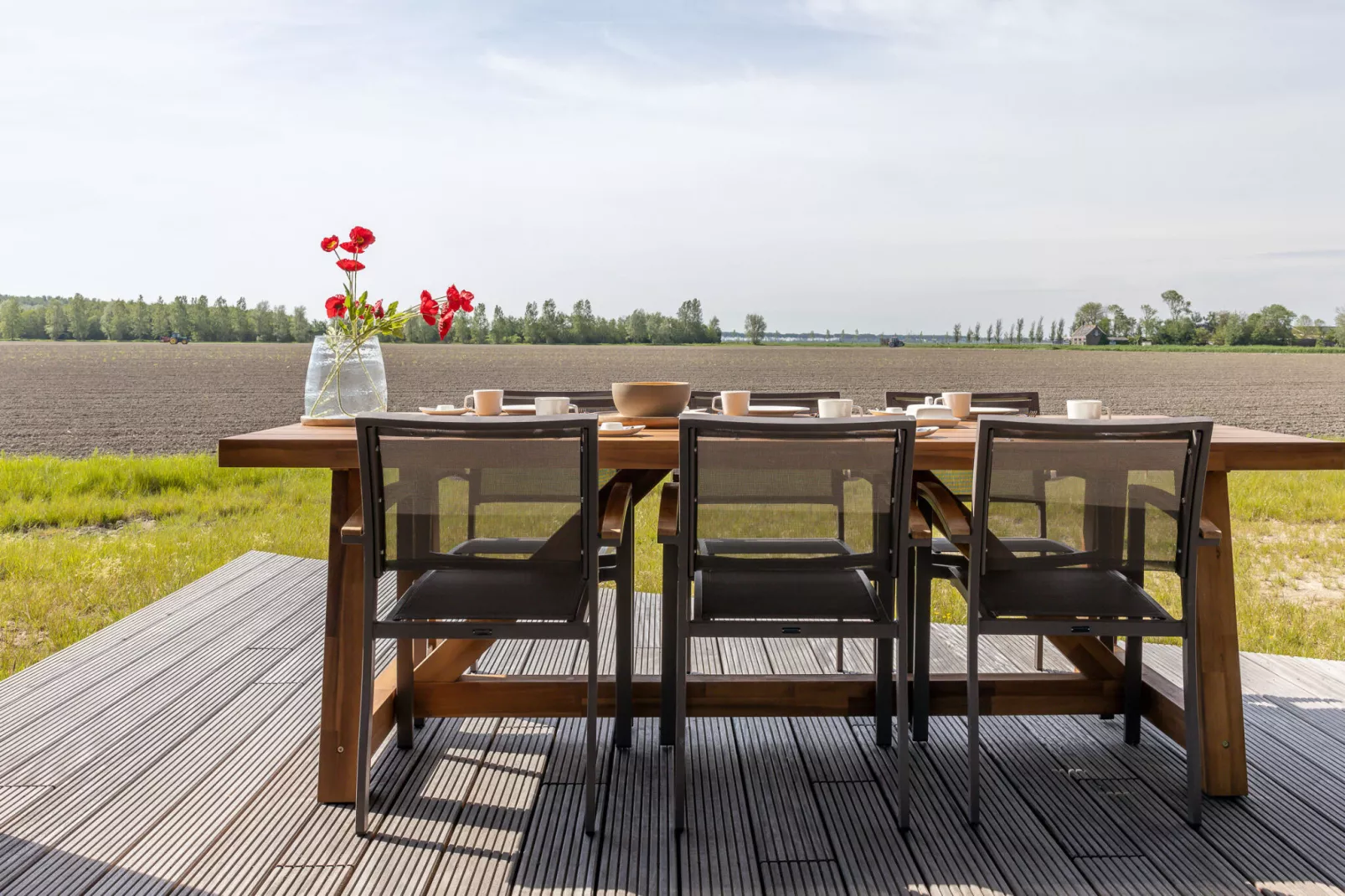 Heerlijkheid Vlietenburg 15-Terrace balcony