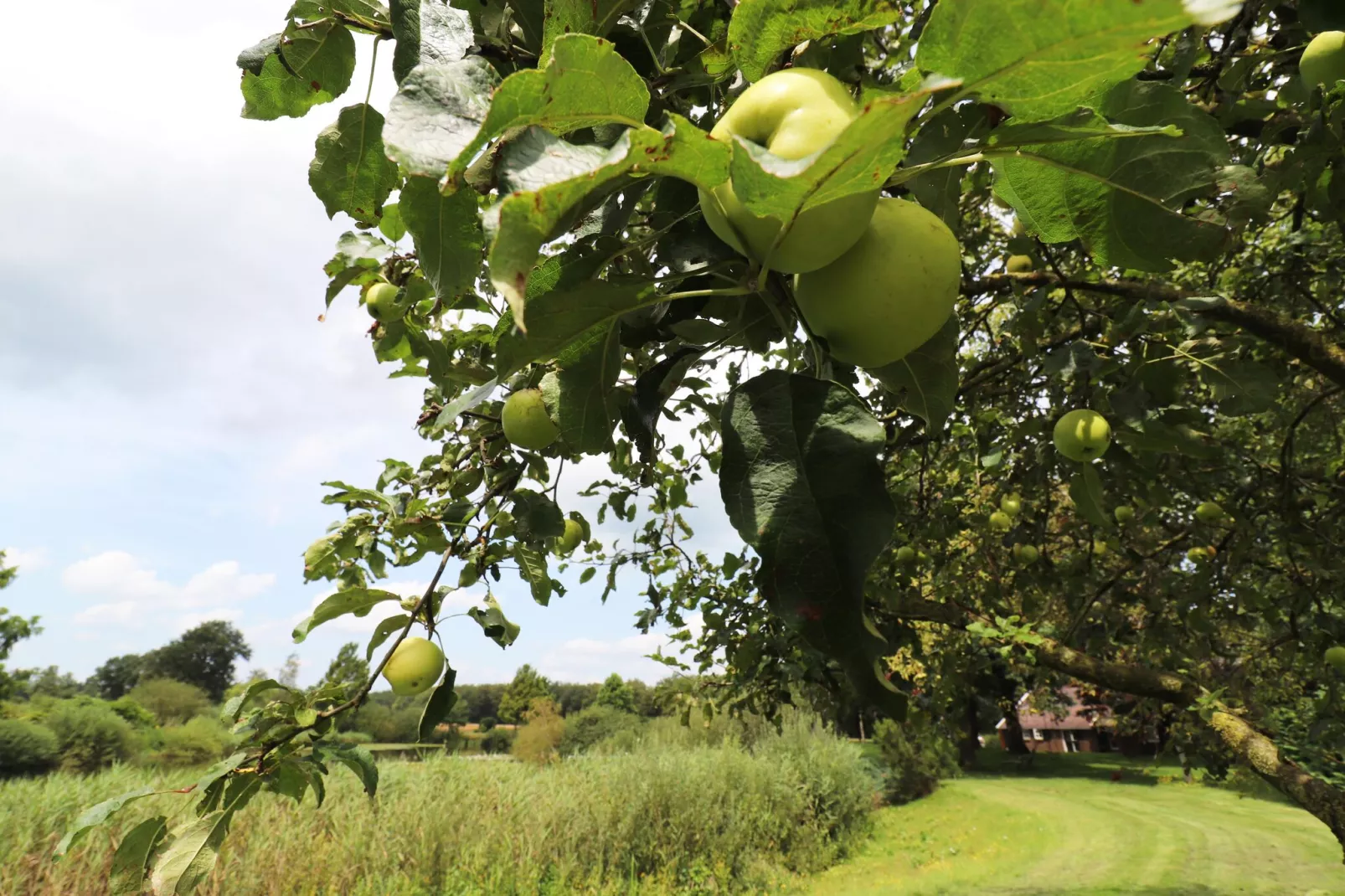 Landgoed de Klimberg-Gärten Sommer