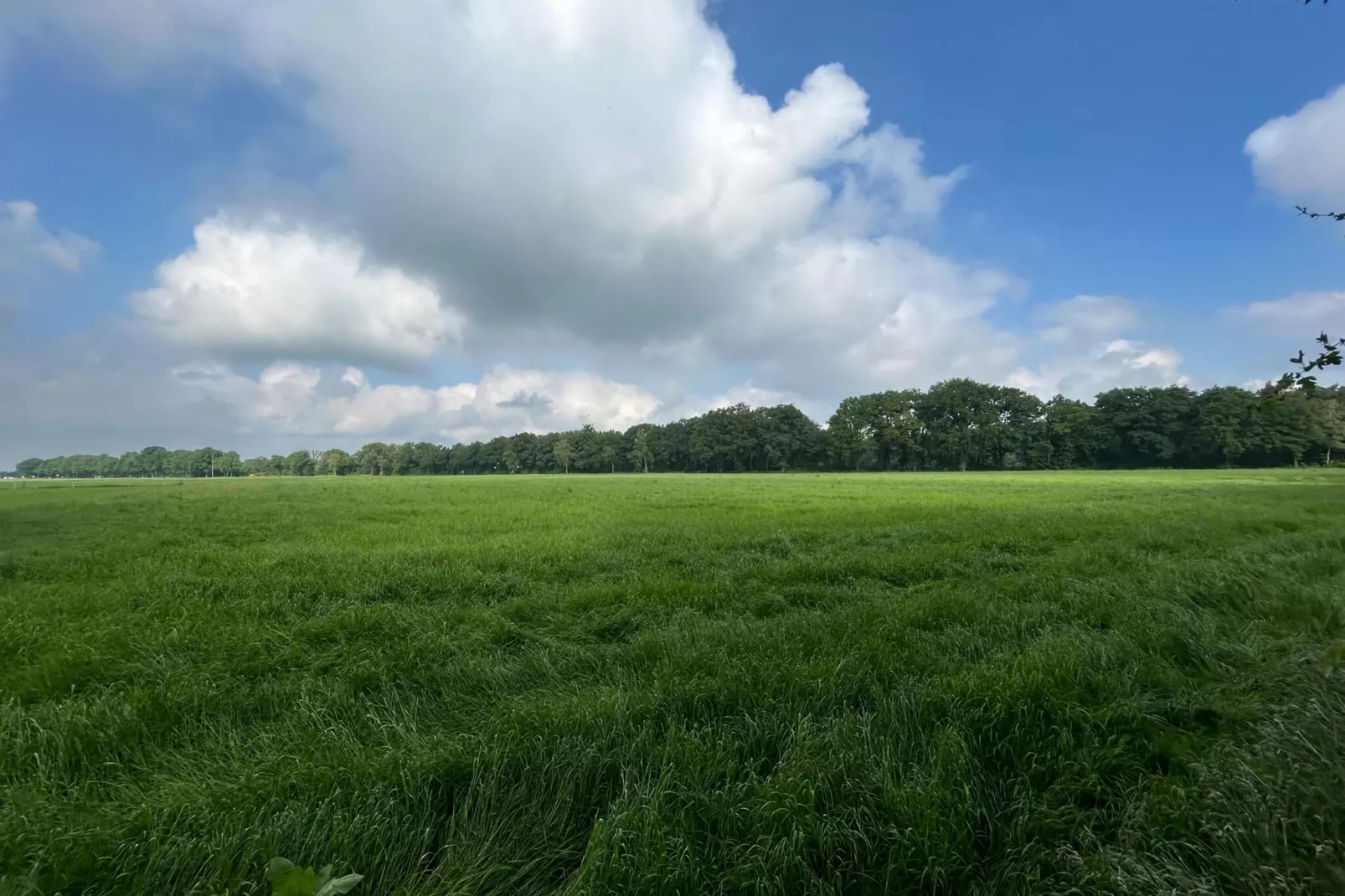 Wellnes suite-Areas summer 5km