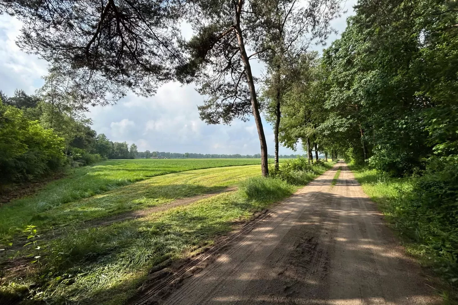 Wellnes suite-Areas summer 5km
