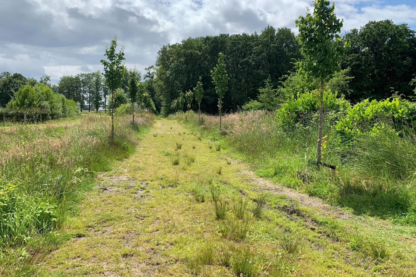 De Liemers-Areas summer 1km
