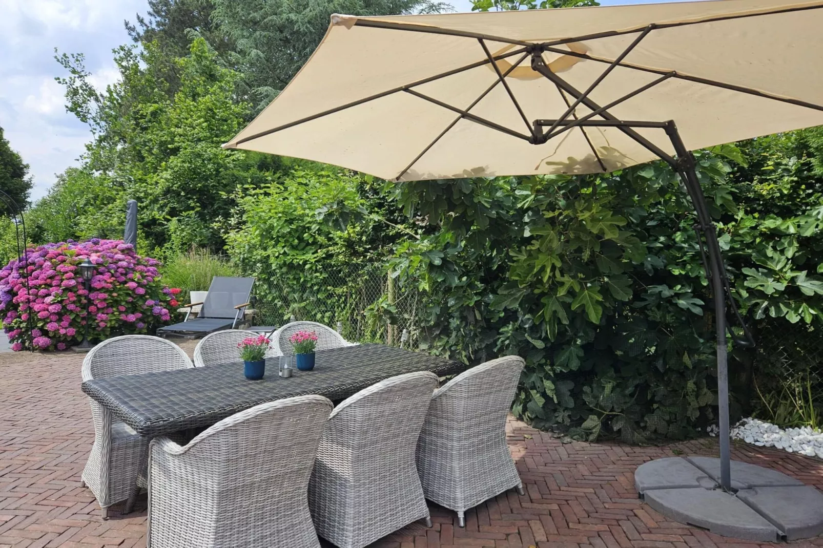 BnB van Duin-Terrace balcony