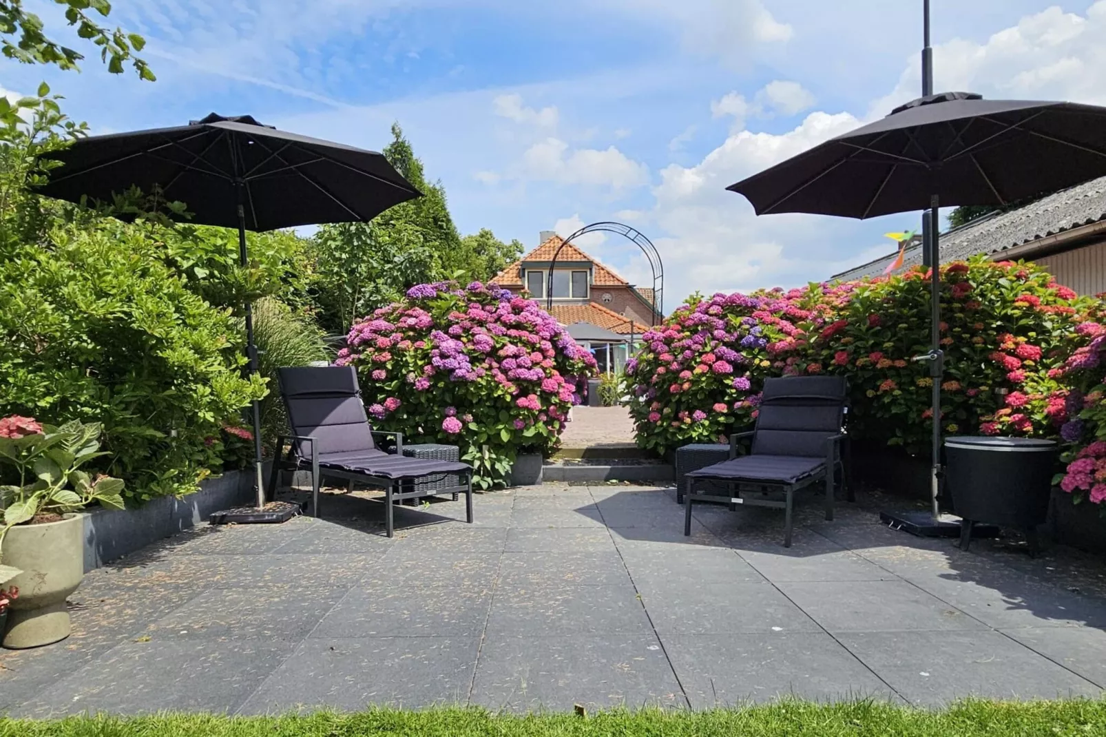BnB van Duin-Gardens summer