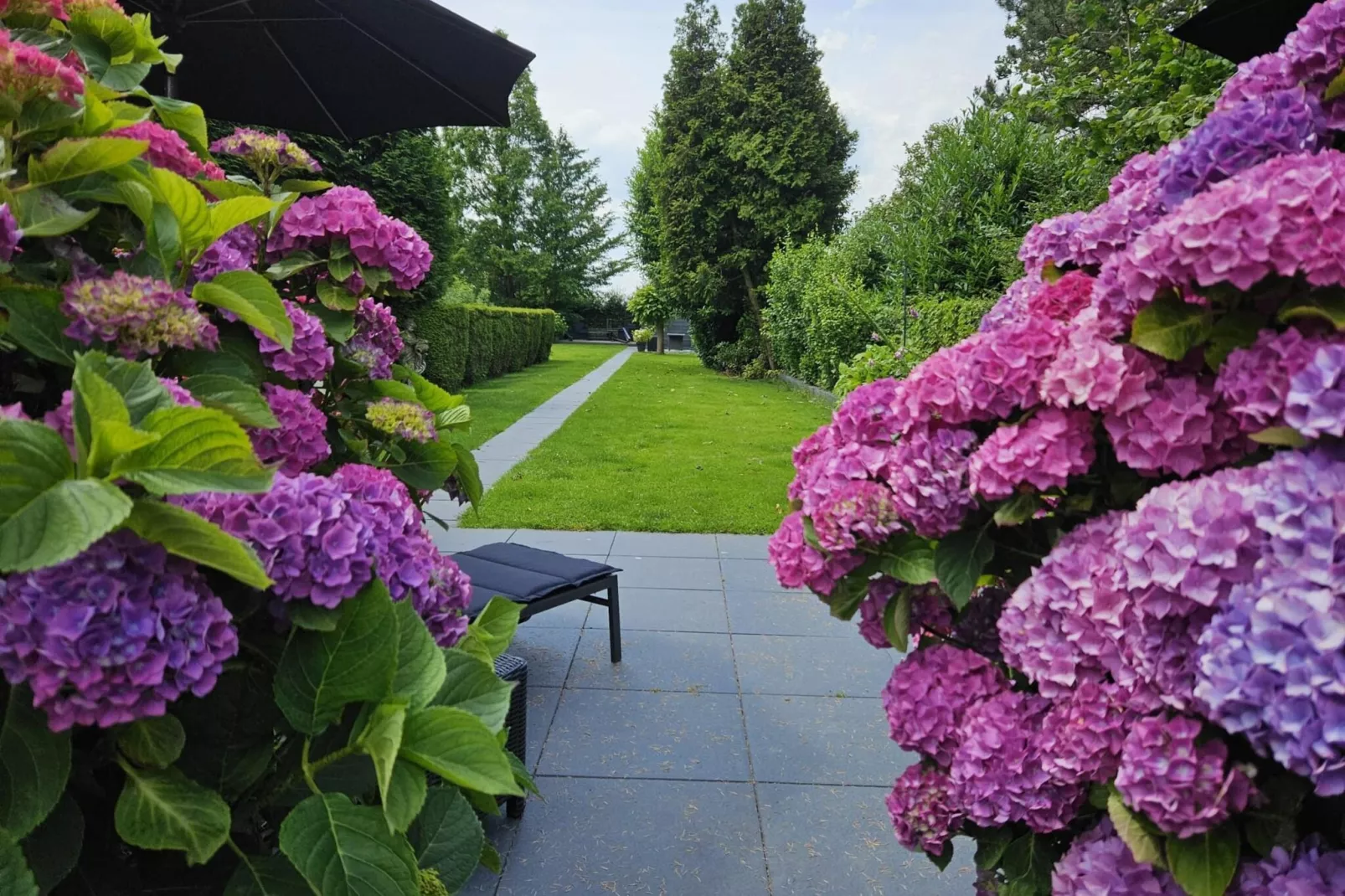 BnB van Duin-Gardens summer