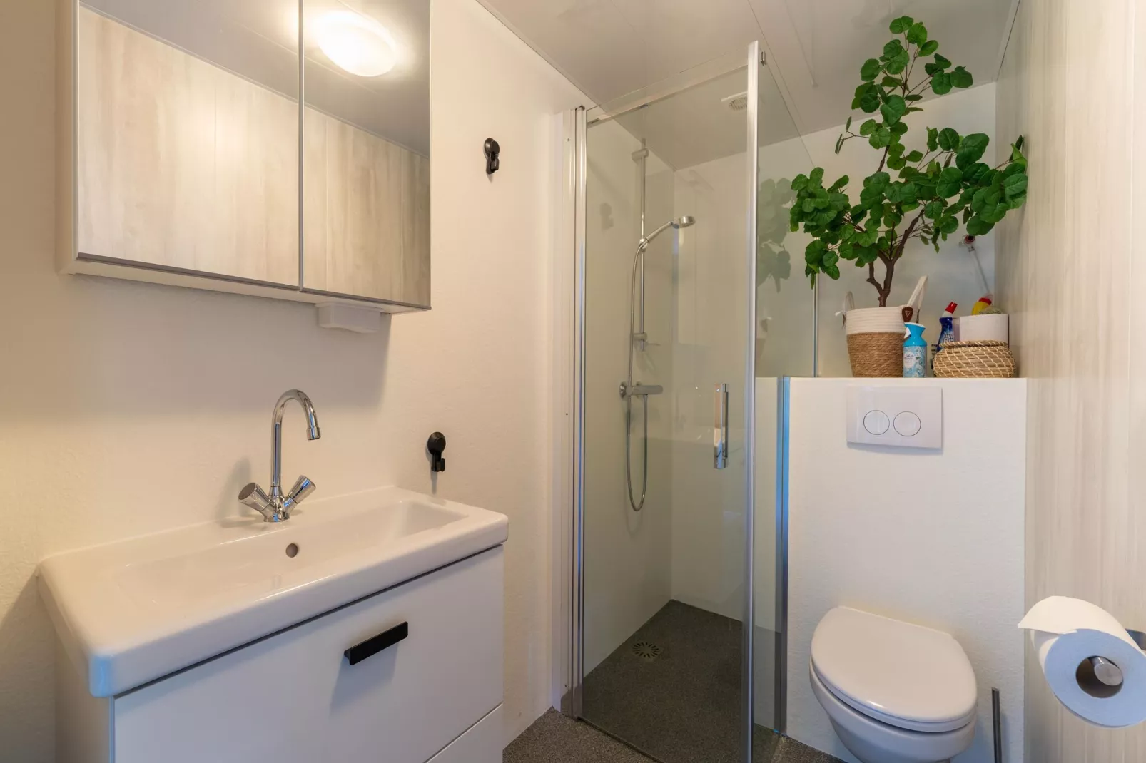 Huisje 60 Stegeren-Bathroom