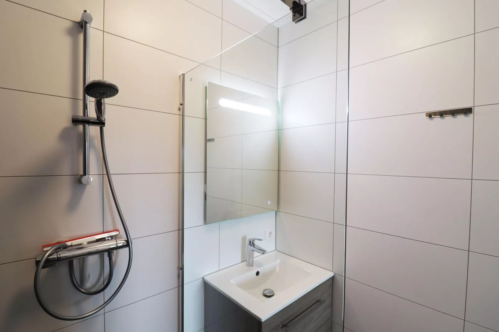 Friese Villa 3 in Leons-Bathroom