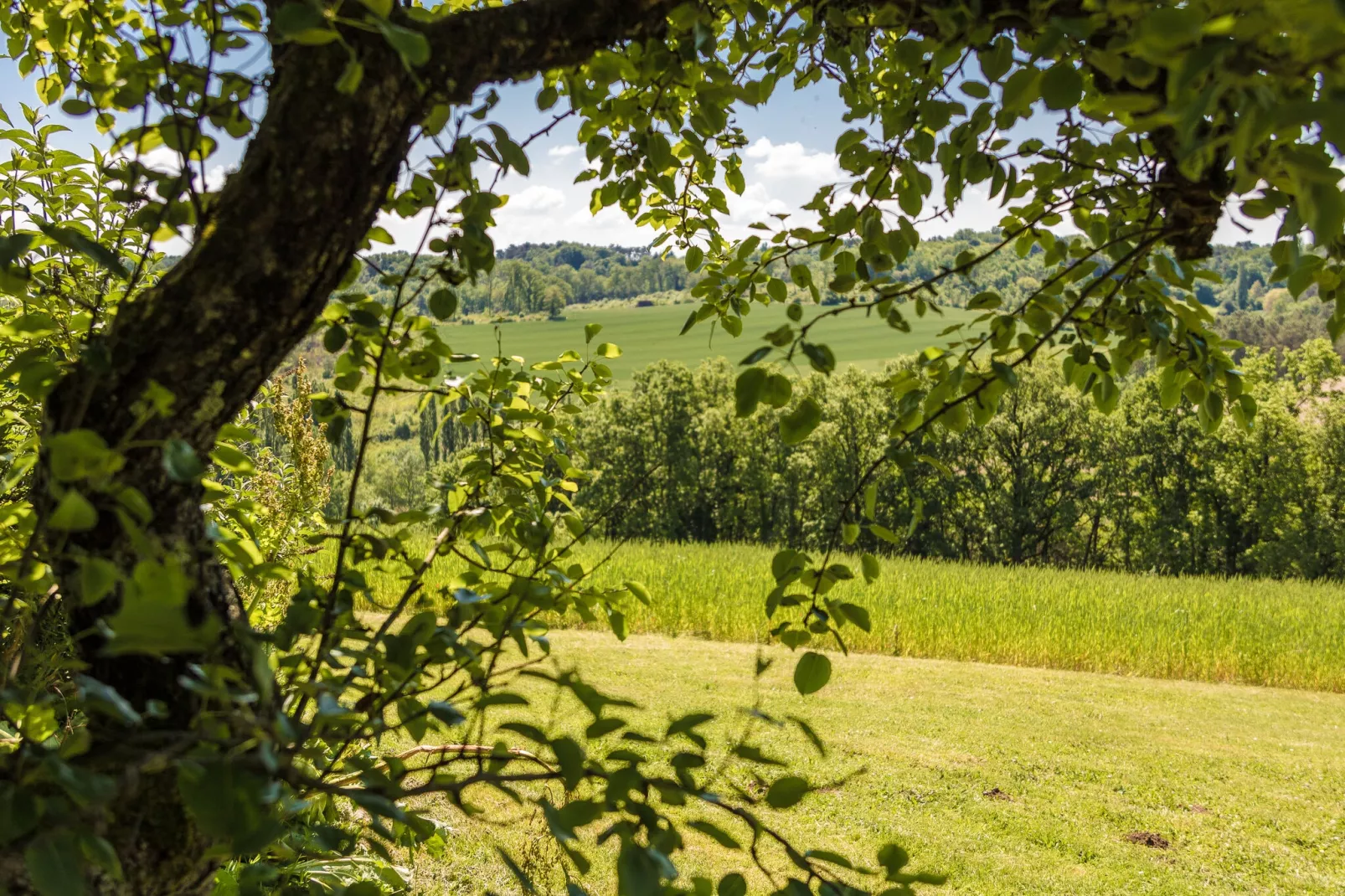L'Hermite-View summer