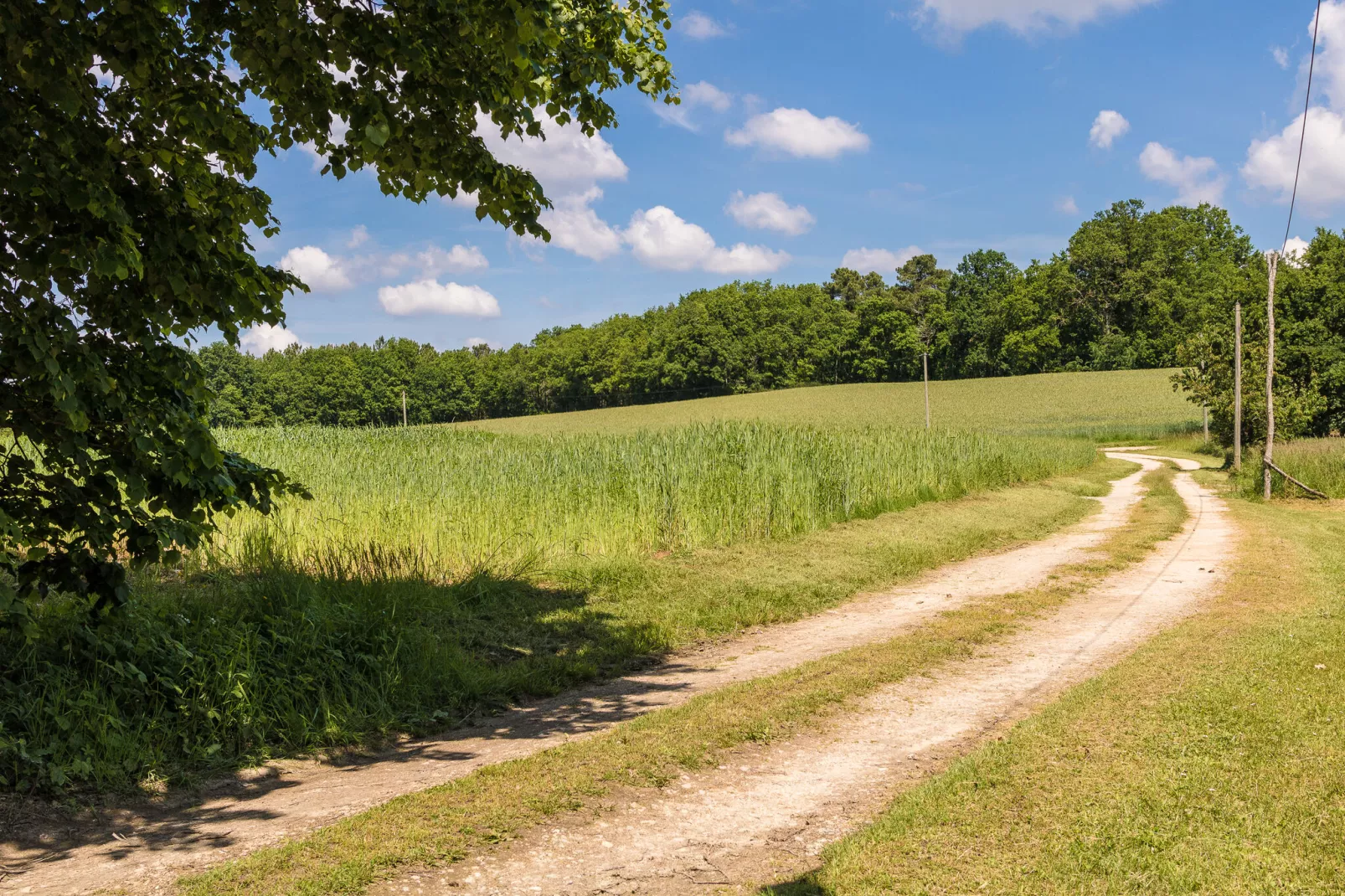 L'Hermite-Areas summer 1km