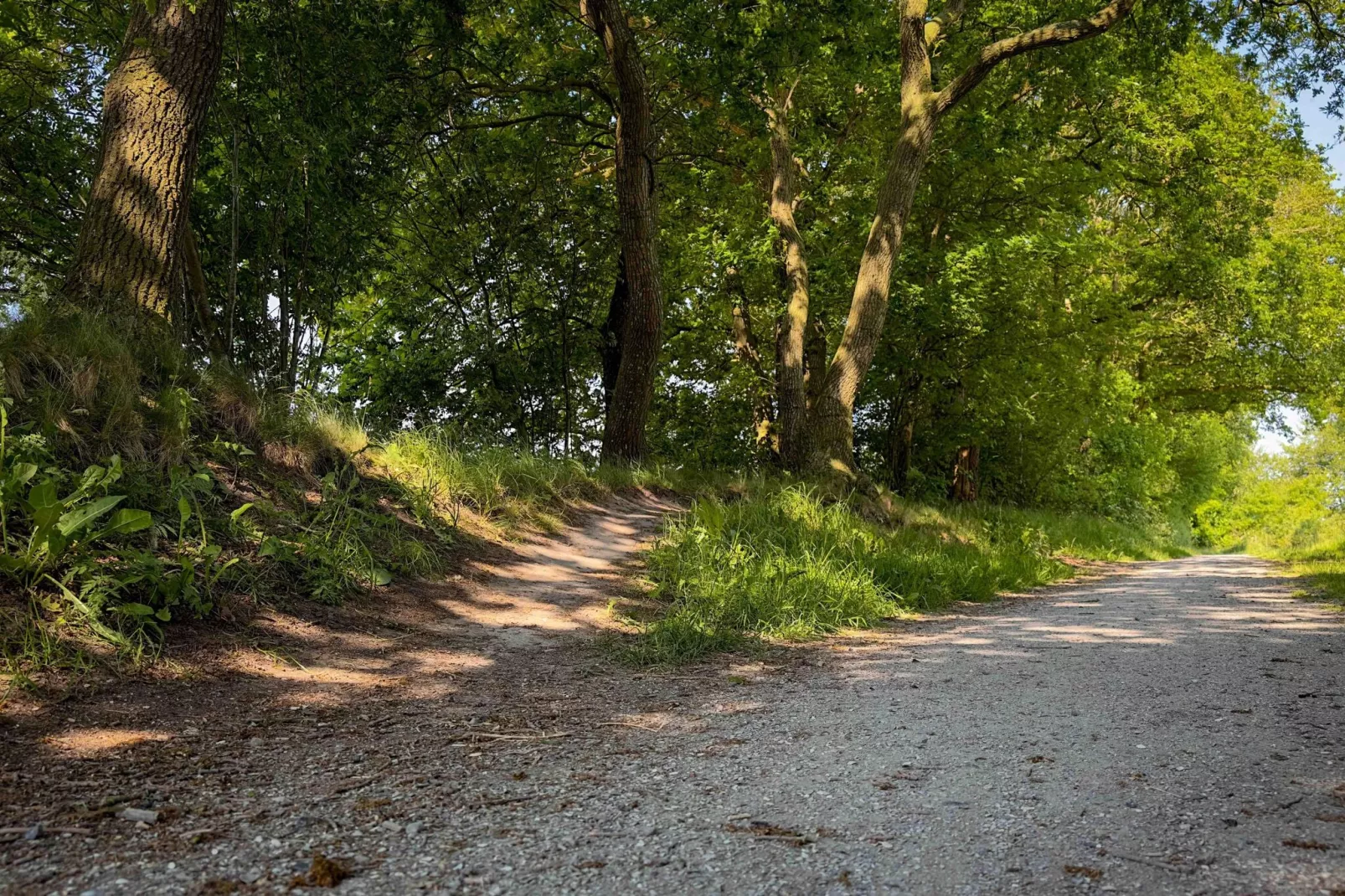 It Simmerhuske-Areas summer 5km