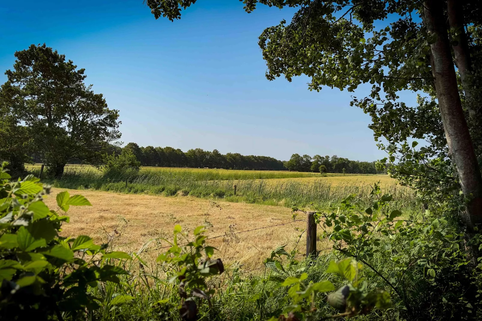 It Simmerhuske-Areas summer 5km
