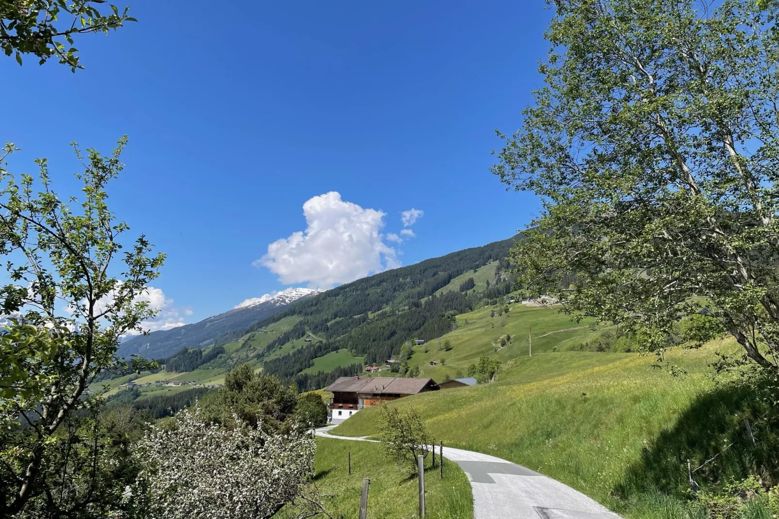 Motzerngut-View summer