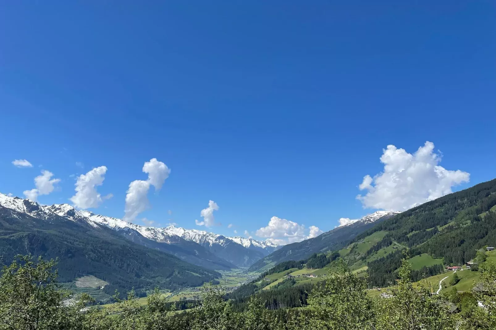 Motzerngut-View summer