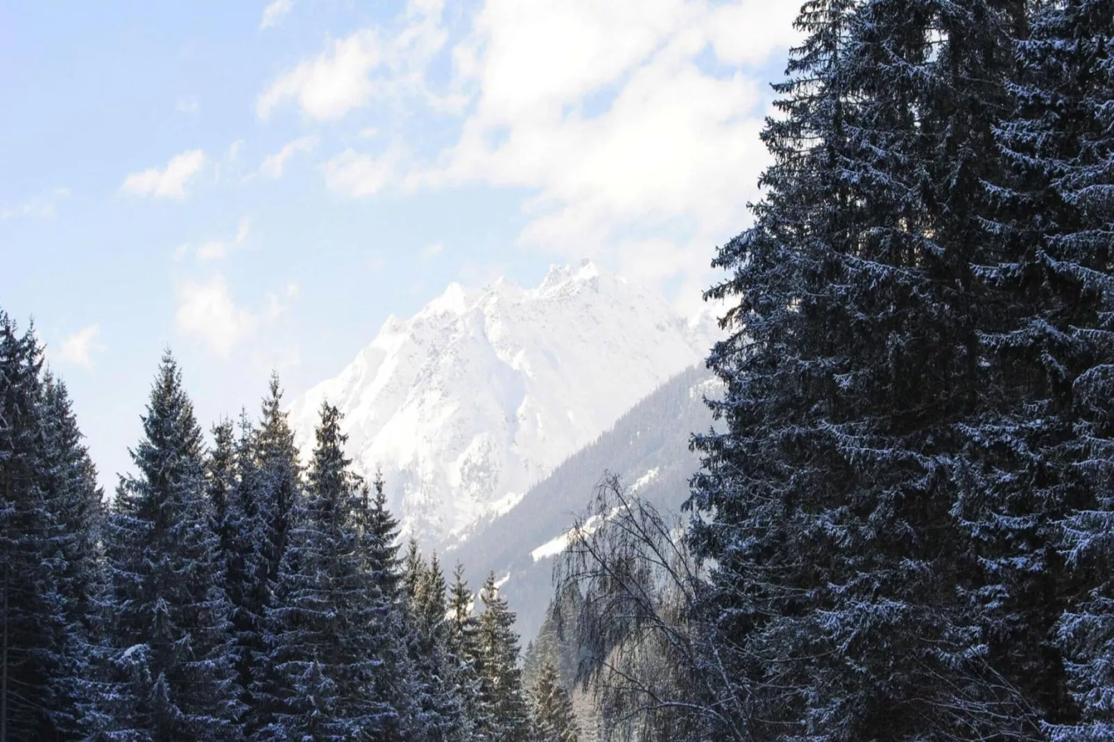 Val Sinestra - Typ A-Area winter 5km