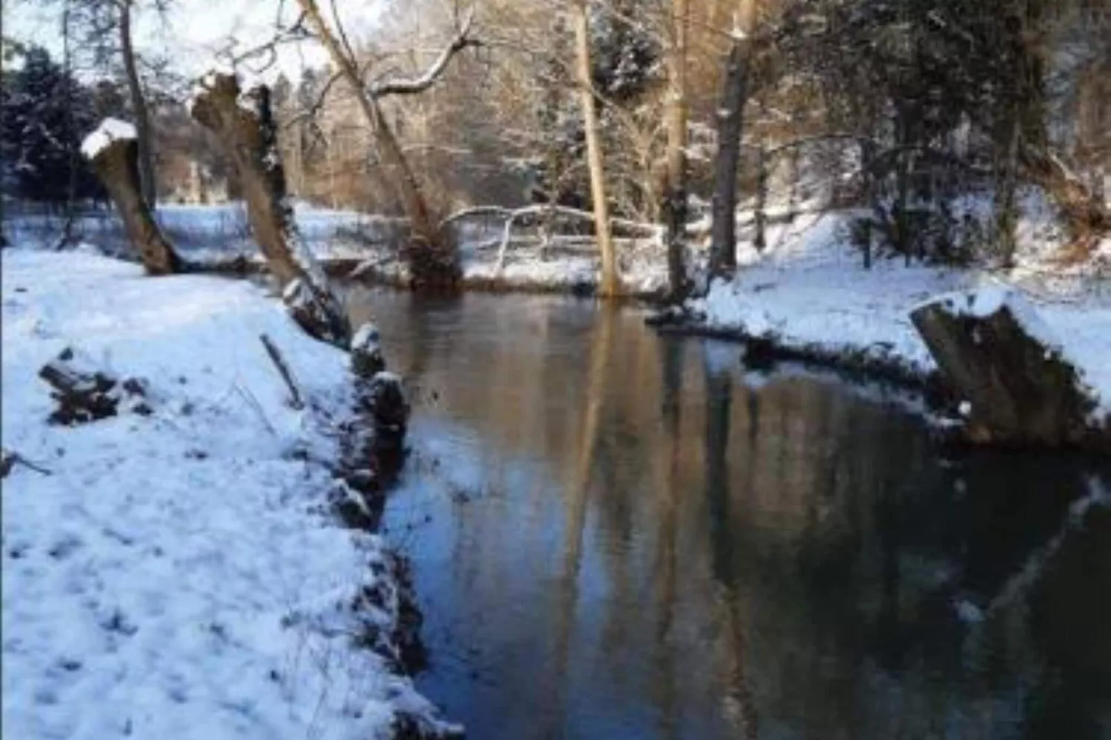 La Forgerie-Garden winter