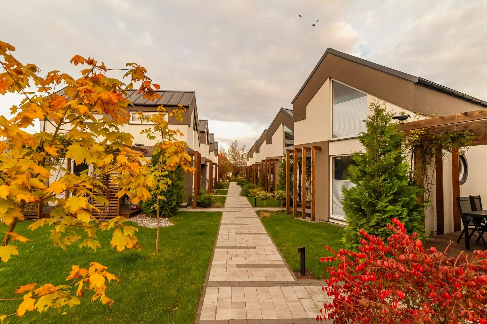 Apartment Przestronny 30 m2 Niechorze-Gardens summer