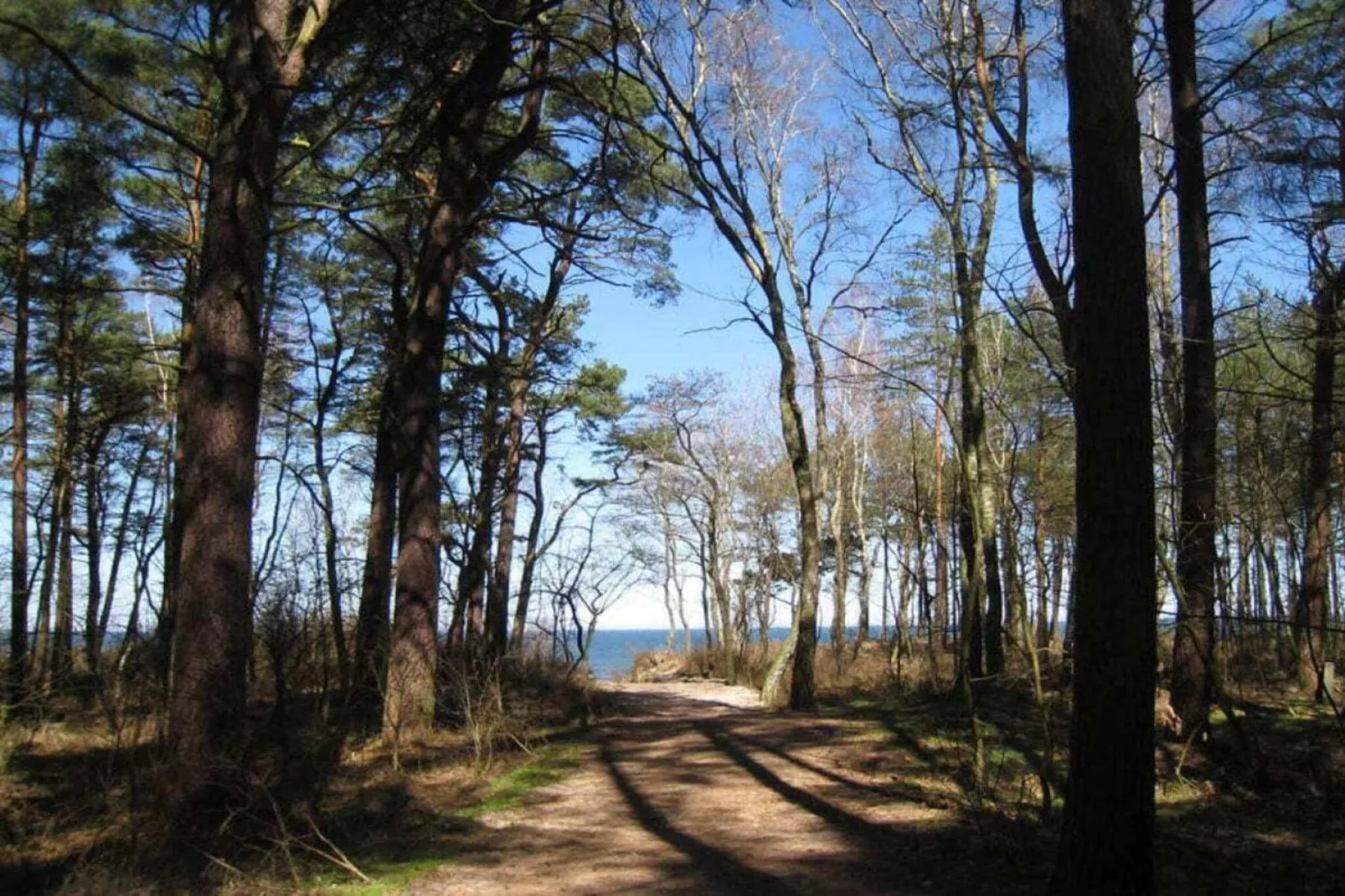 179246-Areas summer 5km