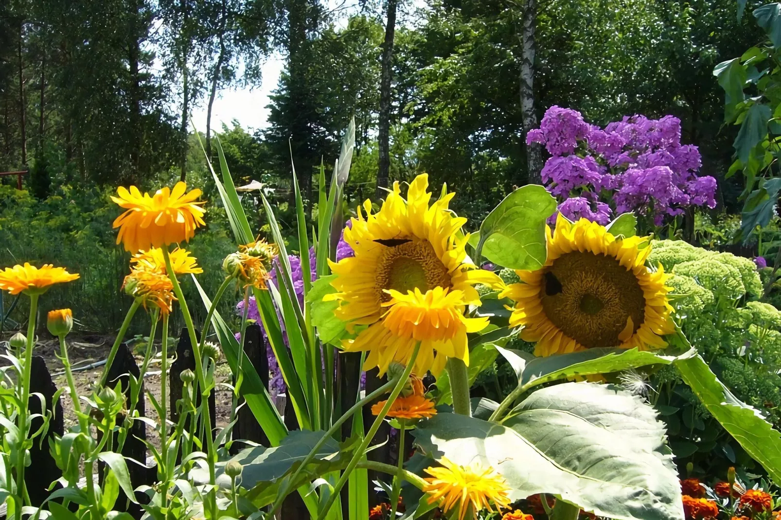 Willa wakacyjna dla 10 osób 182 m2 Knieja koło Polanowa-Ambiente