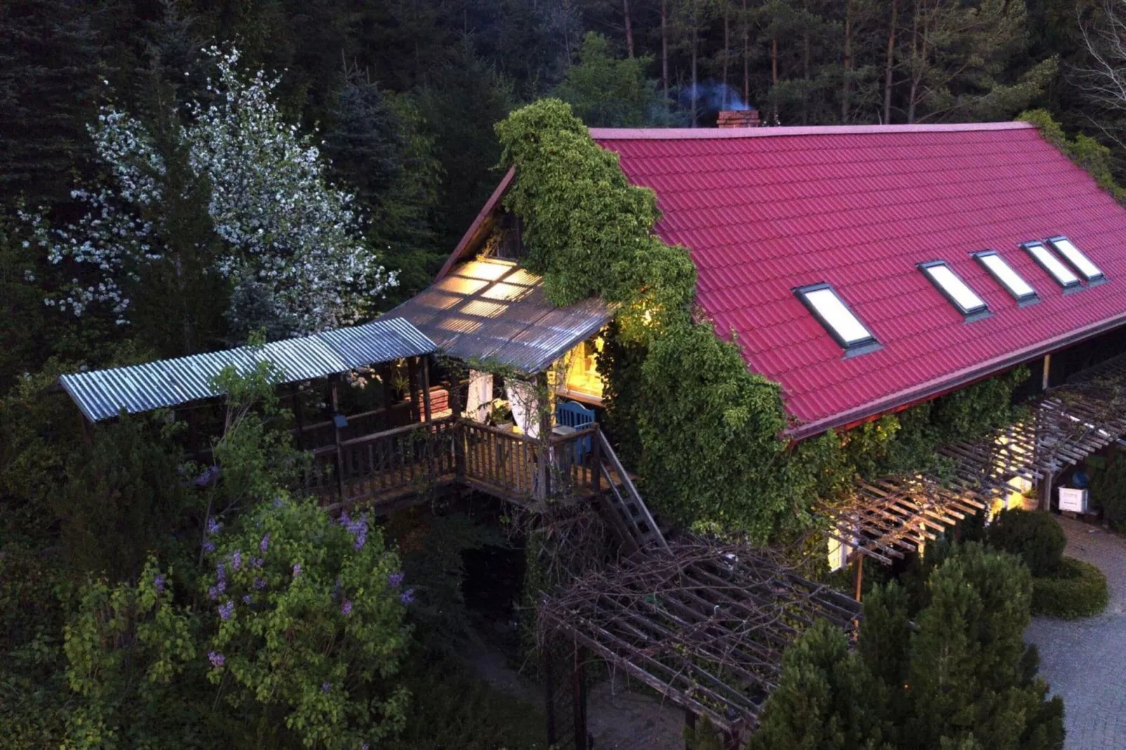 Dom wakacyjny dla 6 osób Różewko-Exterior summer