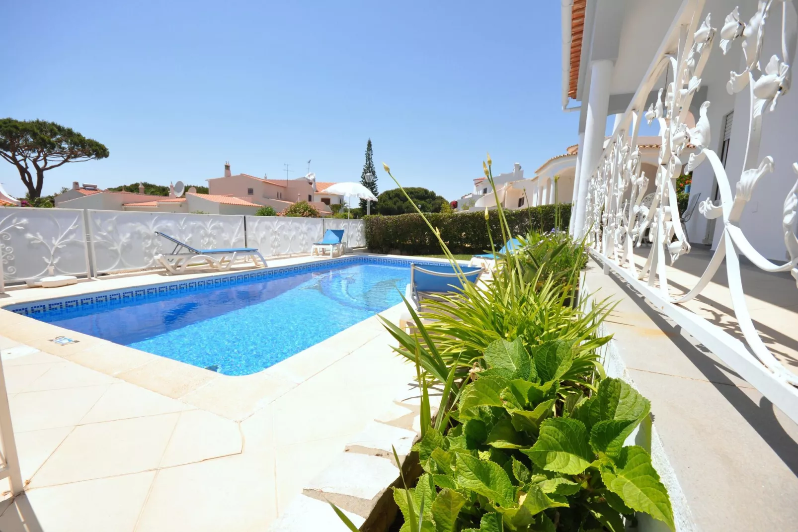 Paloma-Pool