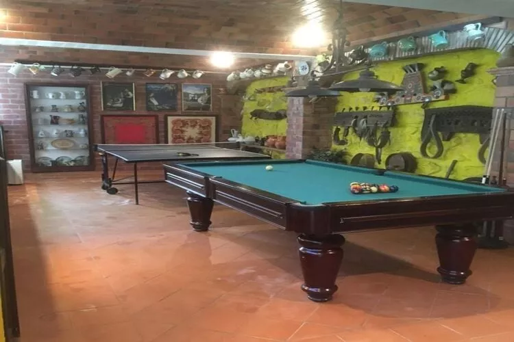 Holiday home near Viana do Castelo  / Despertar dos Mágicos-Recreation room