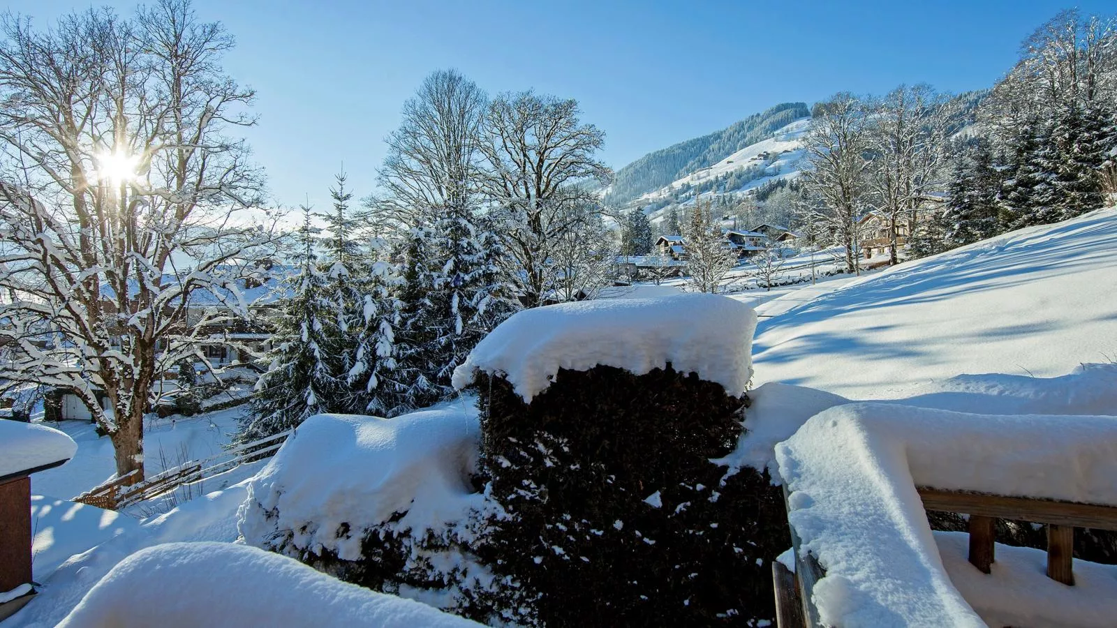 Idylle am Waldrand-View winter