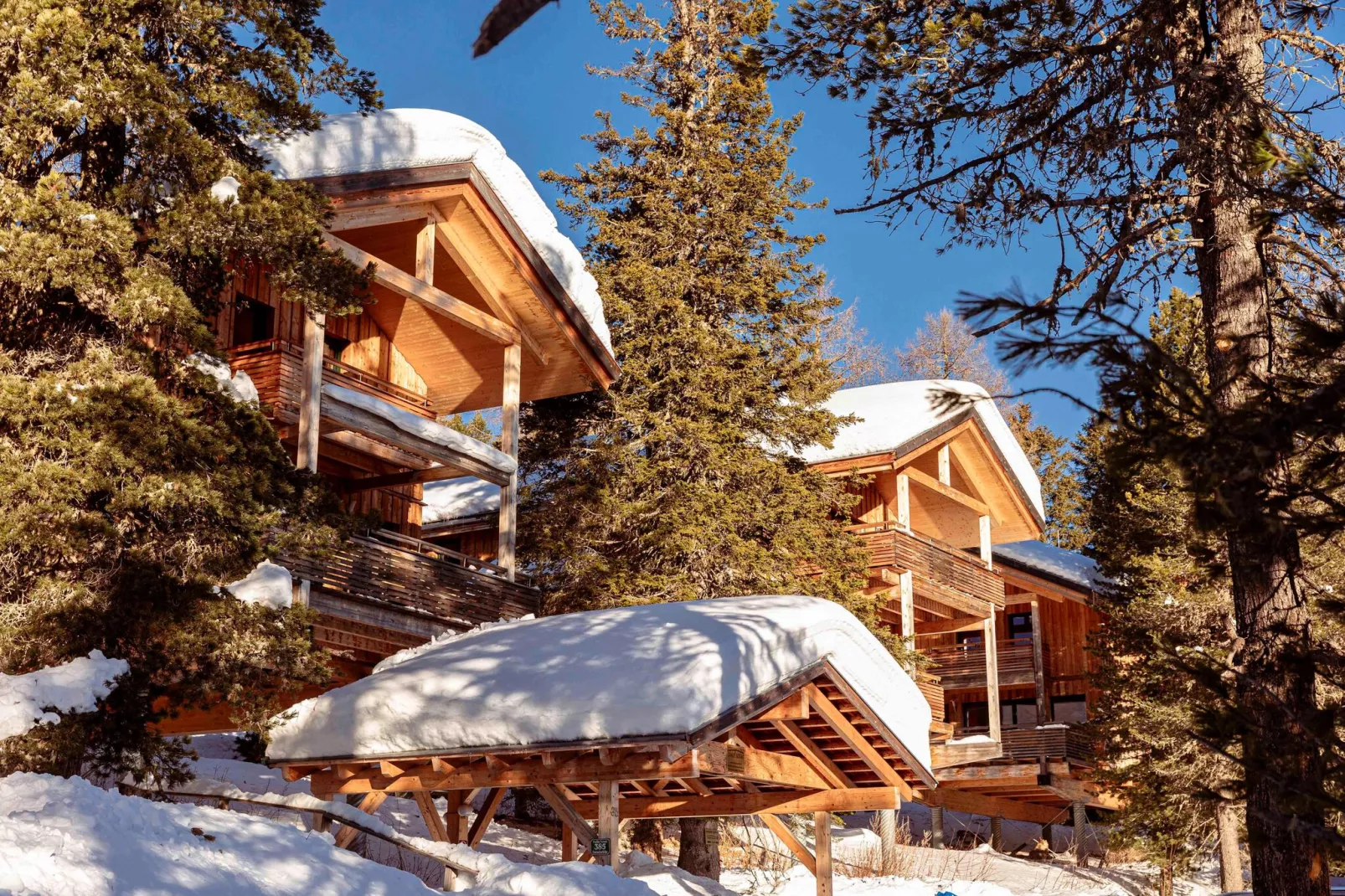 Alpenpark Turrach 3-Exterior winter
