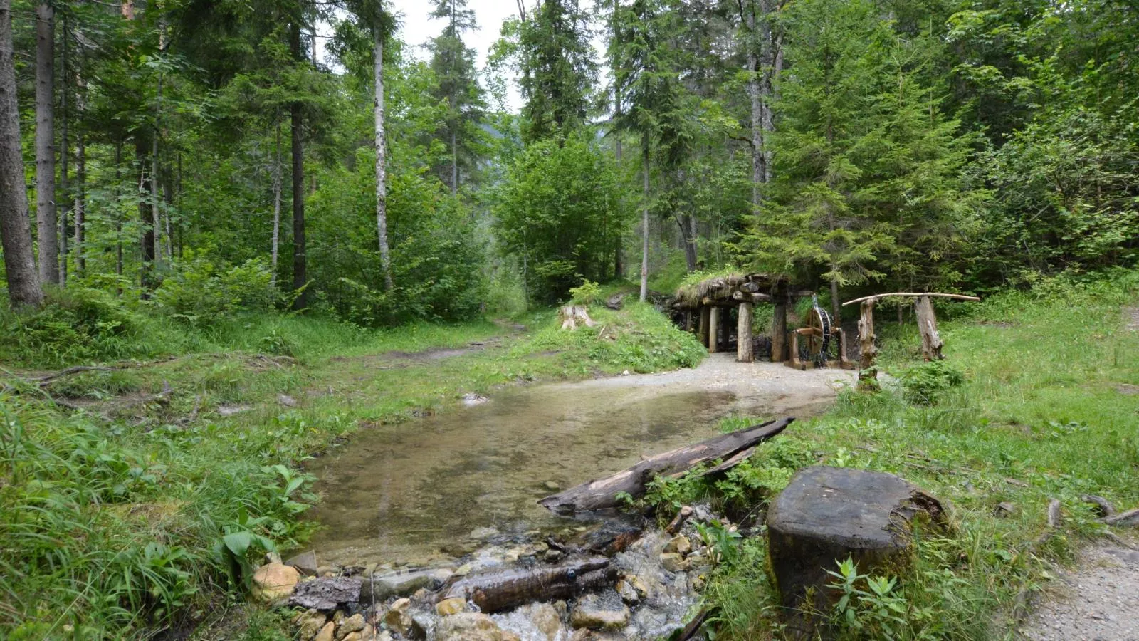 Villa Gradenbach-Areas summer 1km