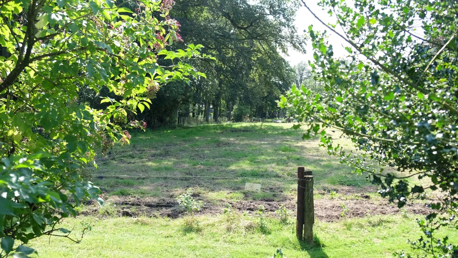 Wellnesshuisje Kalheupink-View summer