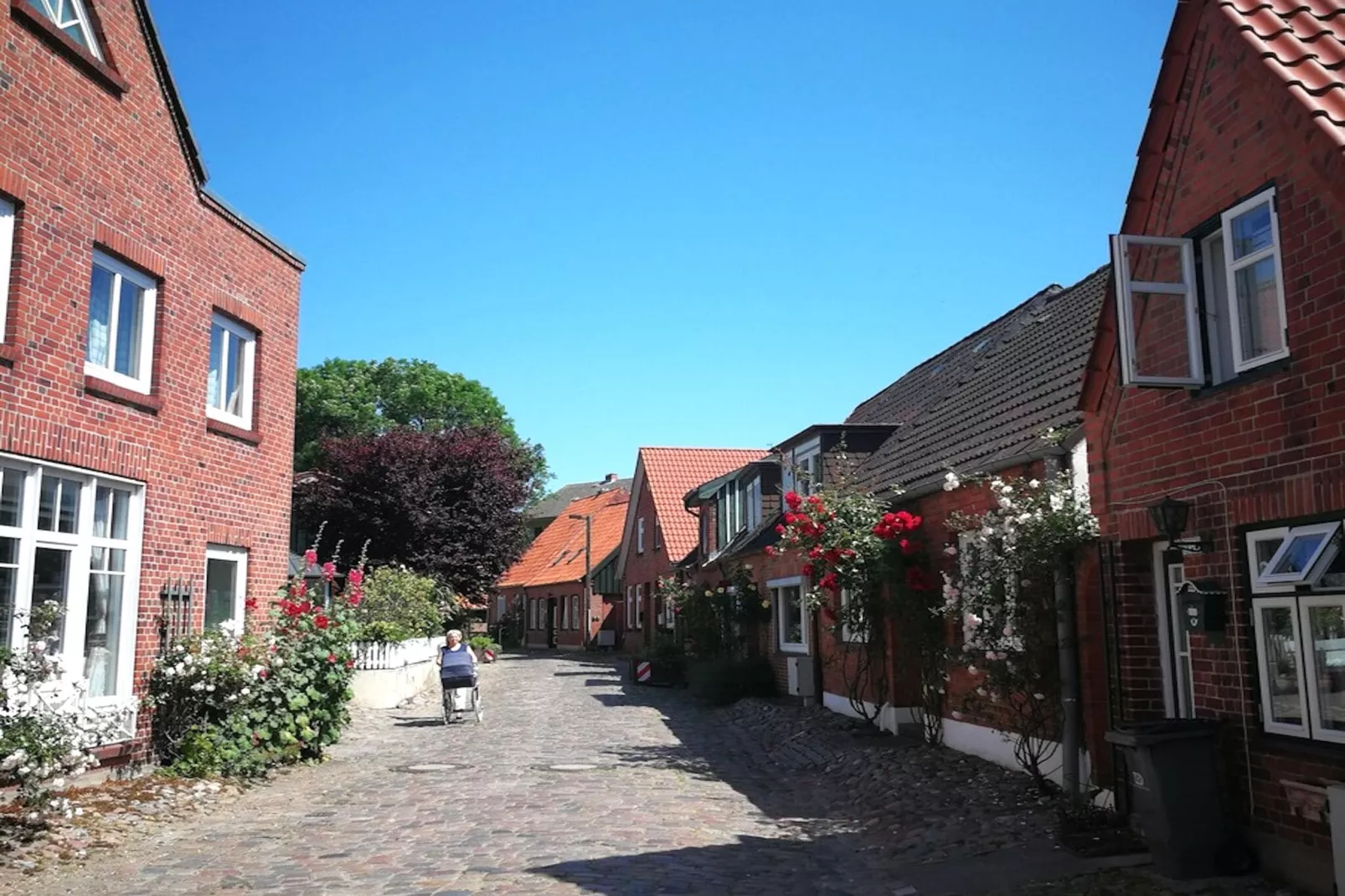 Ferienhaus Ruhe Oase Fehmarn-Areas summer 1km
