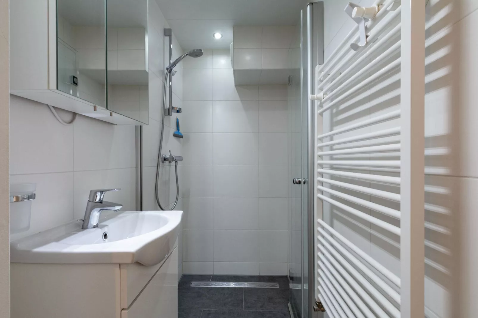 Wildrijk 83-Bathroom
