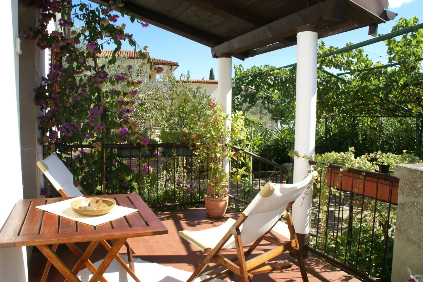 Belci-Exterior summer