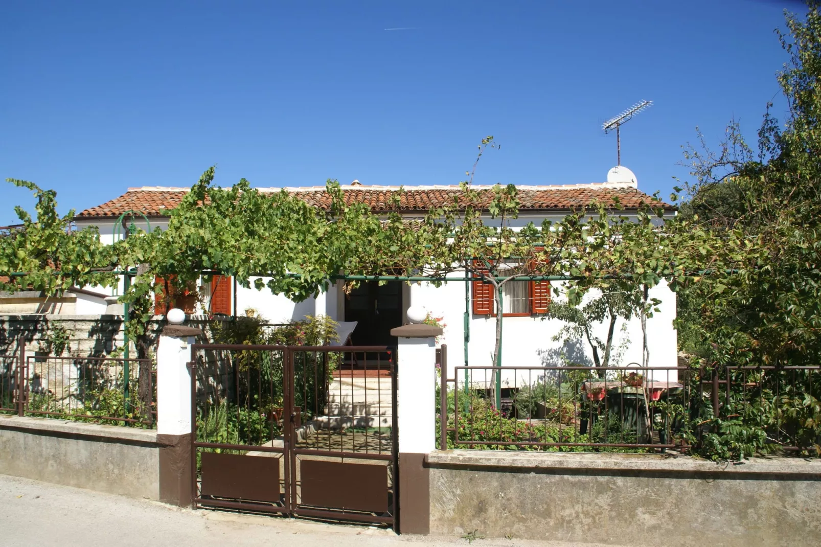 Belci-Exterior summer