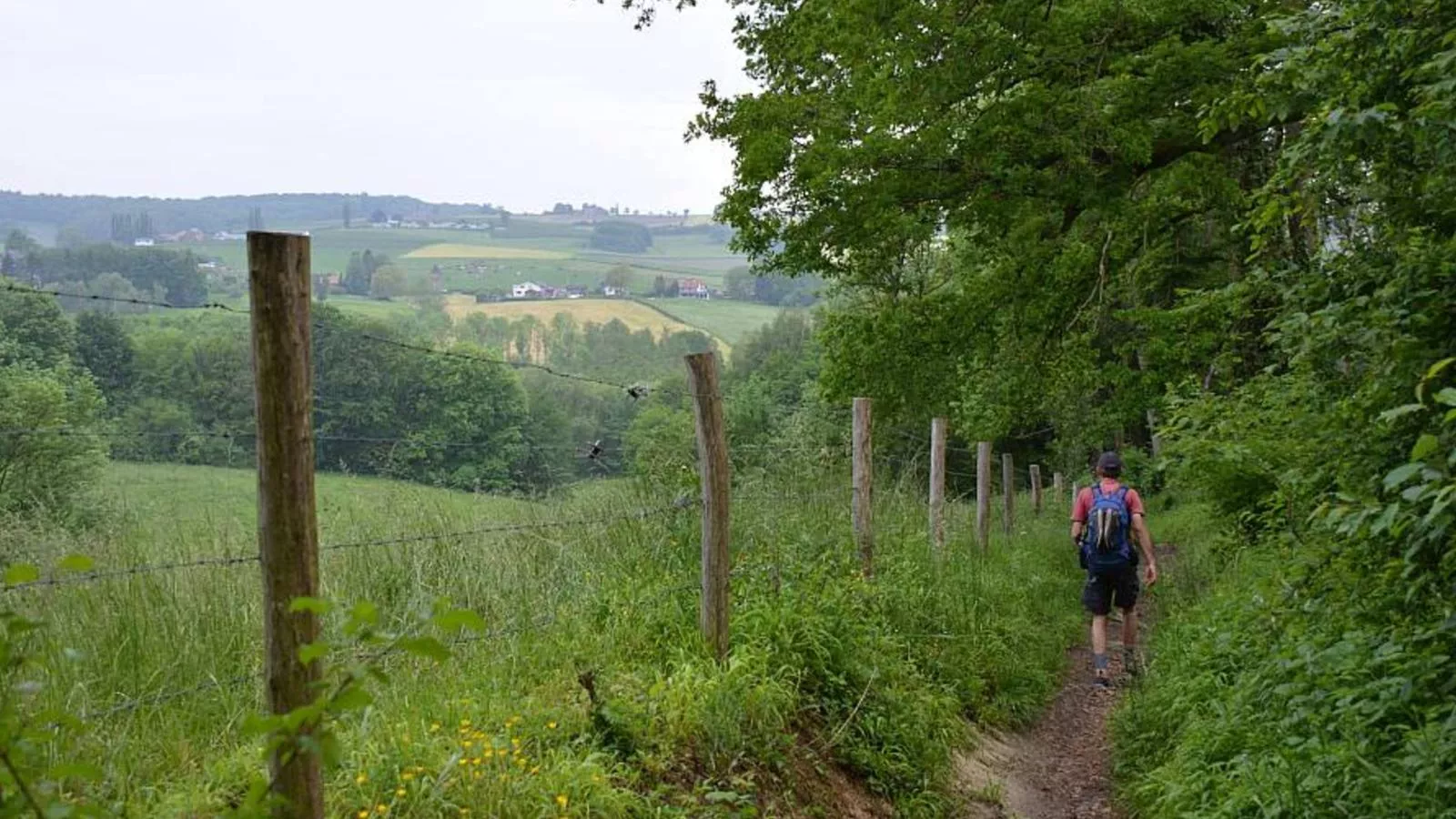 Landsraderhöfke - 1-Areas summer 5km