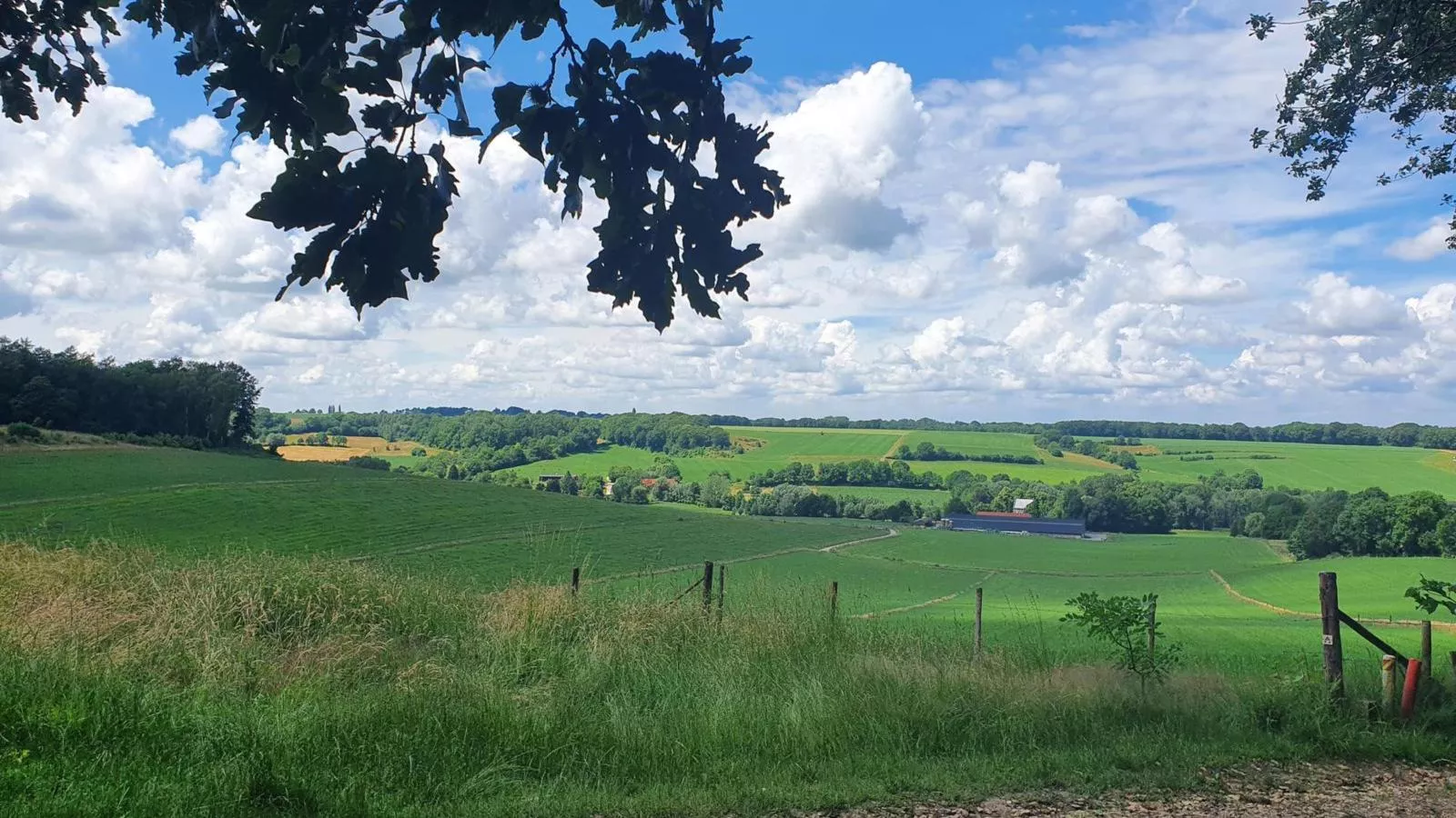Landsraderhöfke - 4-Areas summer 5km