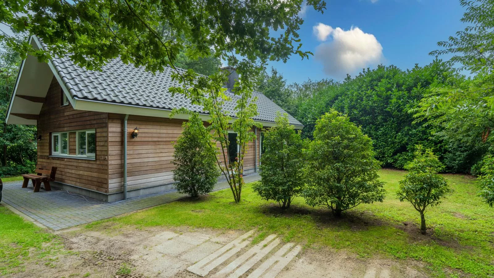 Boszicht Reutum-Outdoor