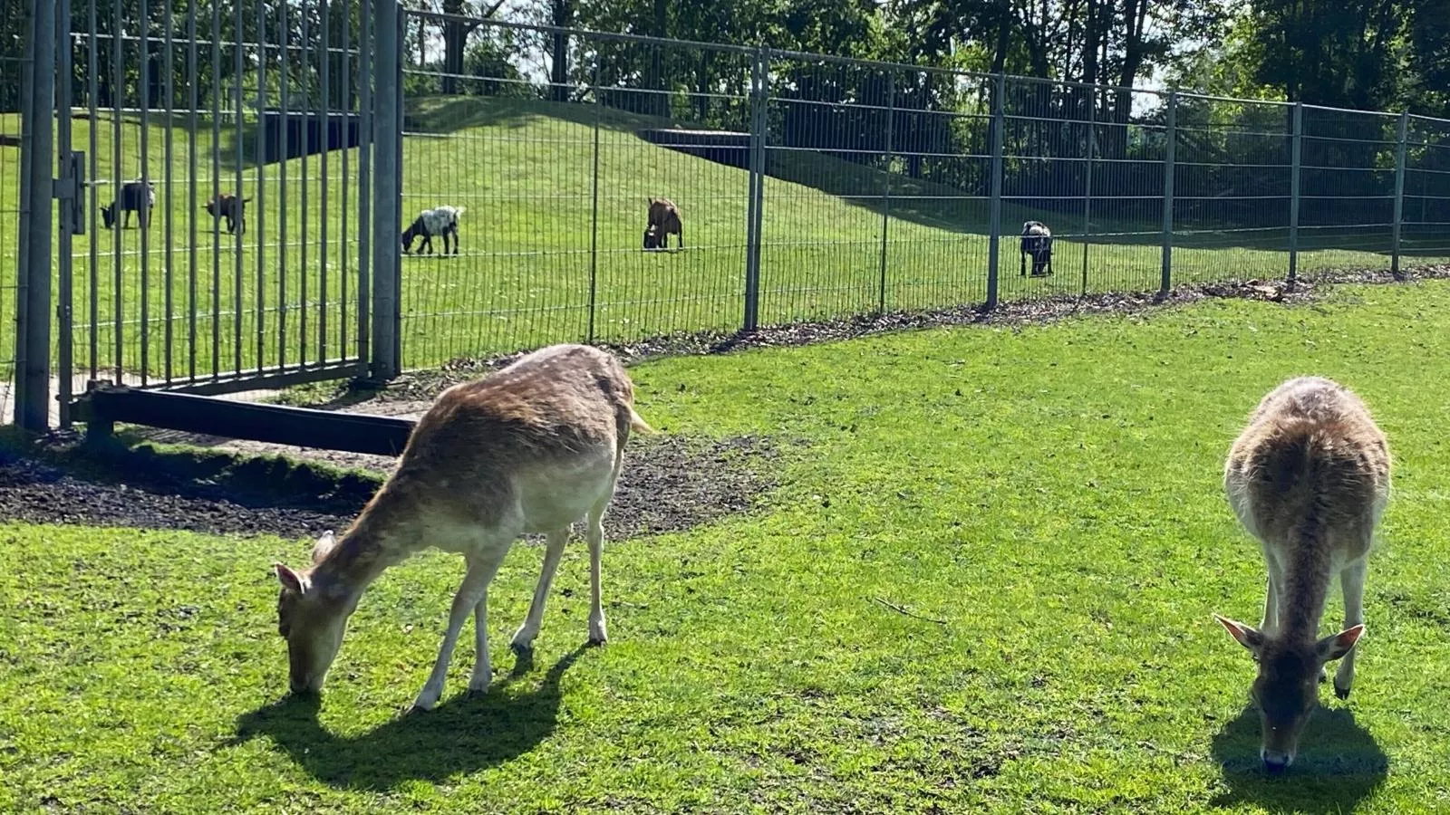Charlie-Park facilities