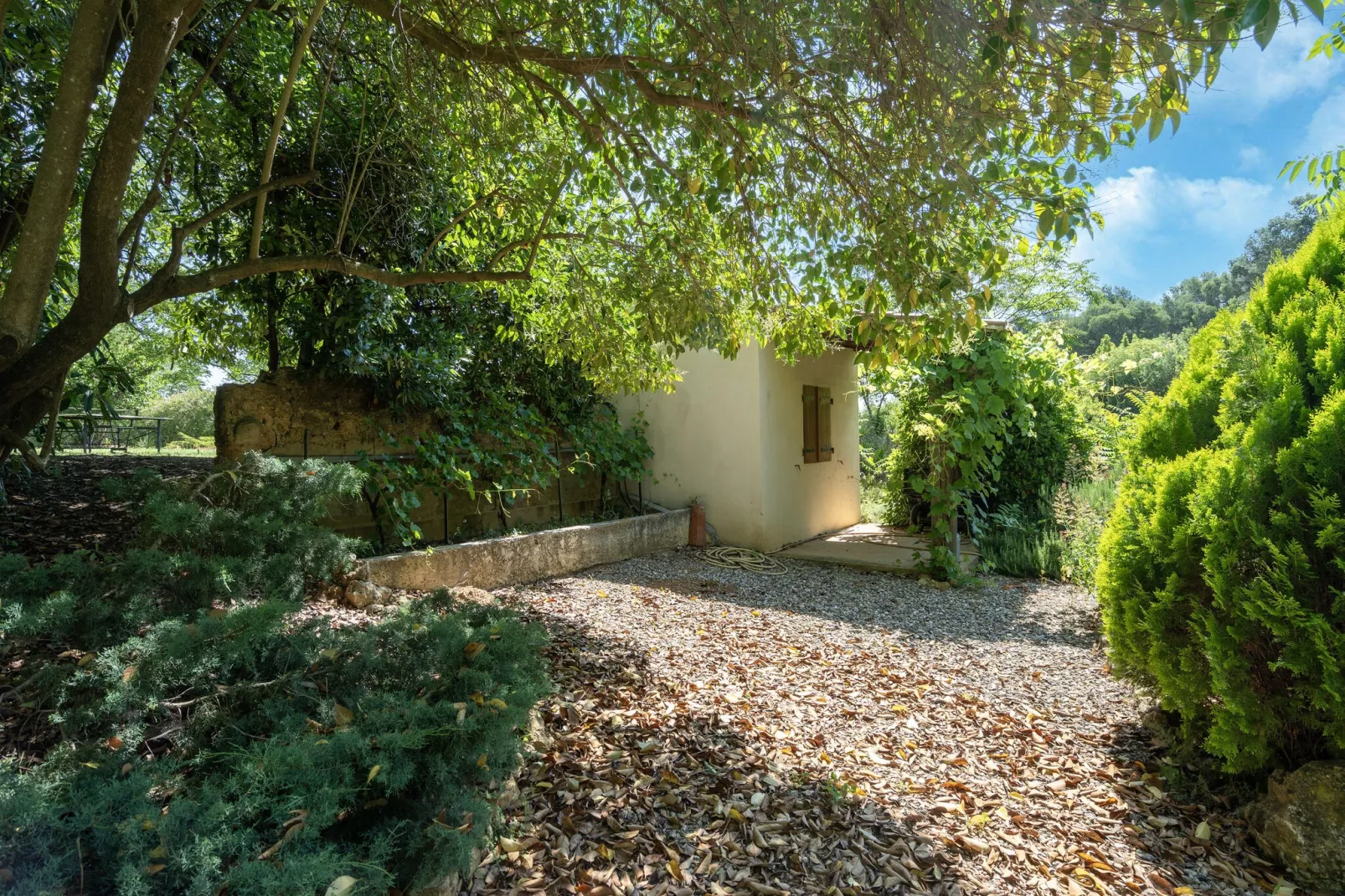 LA BOUSCADE GUESTHOUSE-Gardens summer