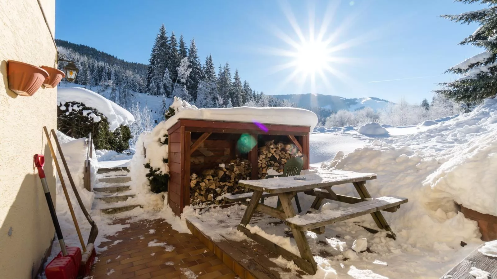 Haus Weissbach-Garden winter