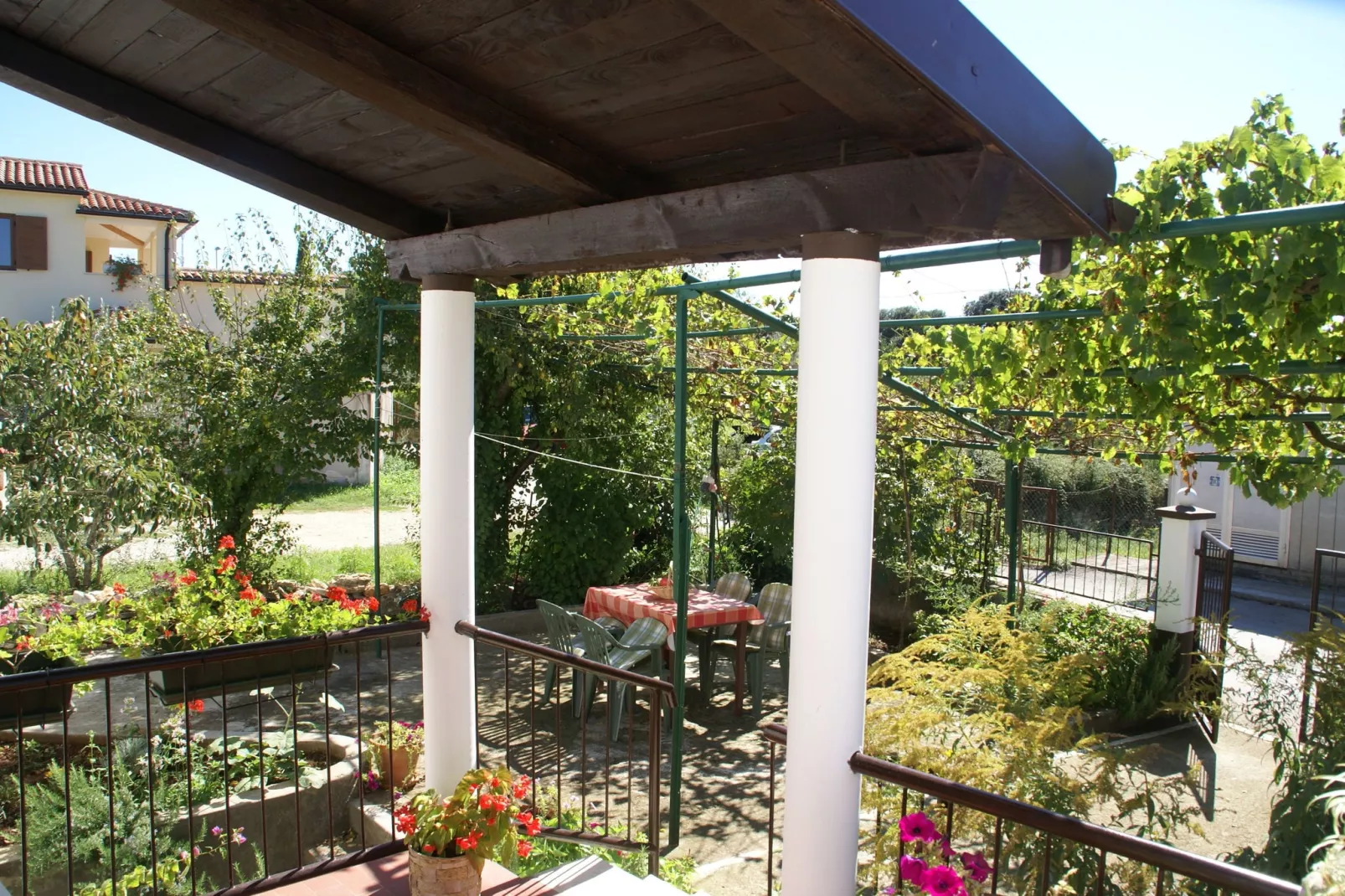Belci-Gardens summer
